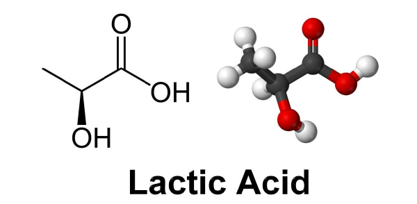 Modeling and Simulation of a Bacterial Biofilm that is Controlled by pH and Protonated Lactic Acids